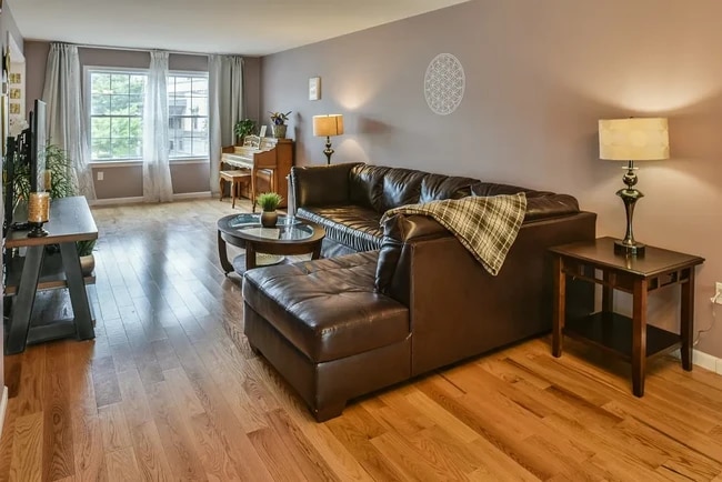 Photo - 11 Taylor St