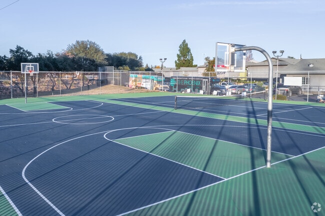 Basketball Court