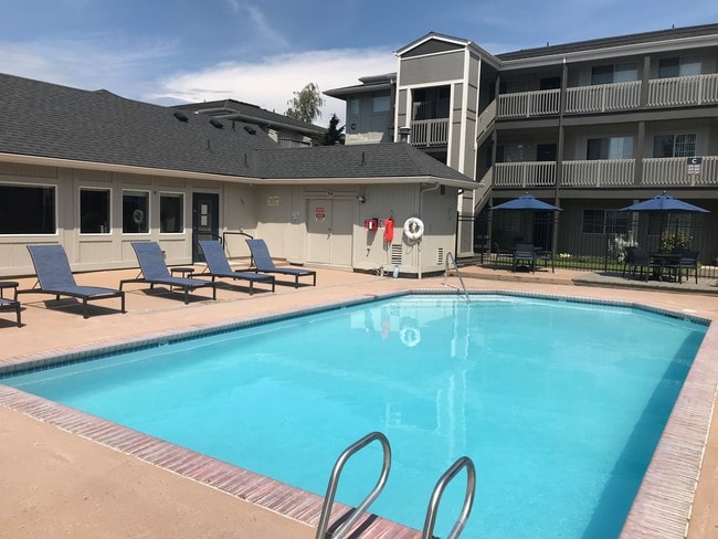 Photo - Portola Bridge Creek