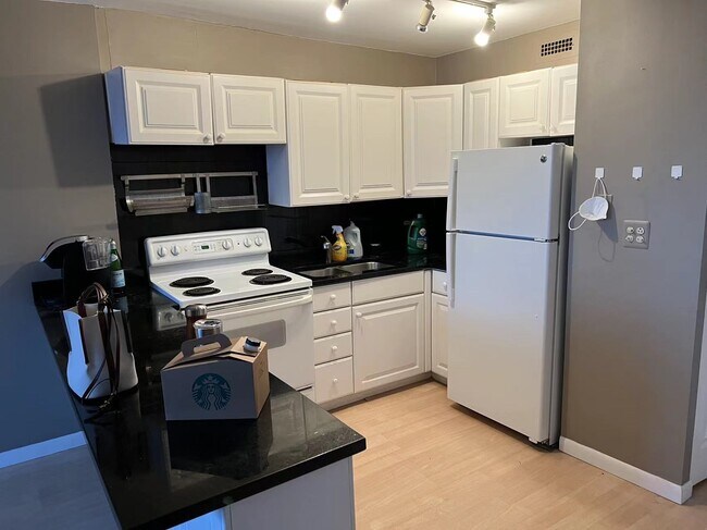 Photo - 1460 N Sandburg Terrace