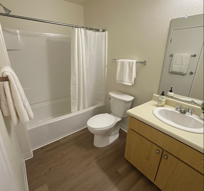 Photo - Camino Creek