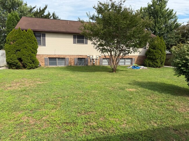 Lovely back yard and back of home - 917 Rose Hill Ave