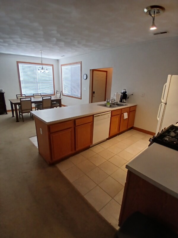 Photo - 10215 Metalmark Ln