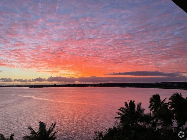 Building Photo - Beautiful Ocean View & Conveniently Located Unit 805 Rental