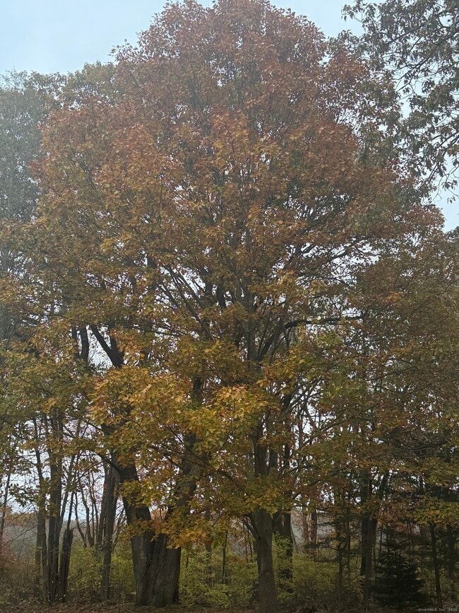 Photo - 74 Baxter Rd