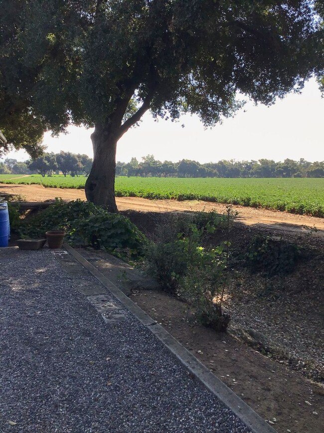 Photo - 3 Bedroom Home in Gilroy