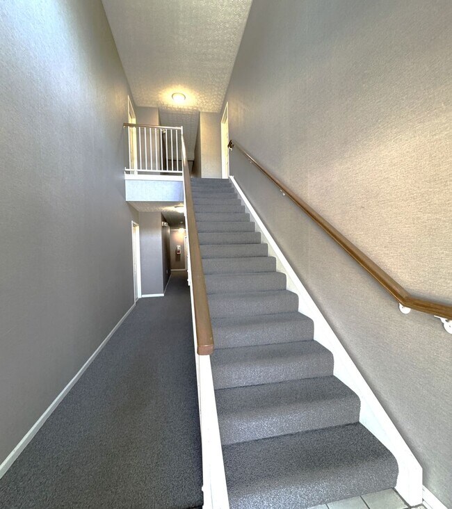 5301 Pacer Ln Unit 203