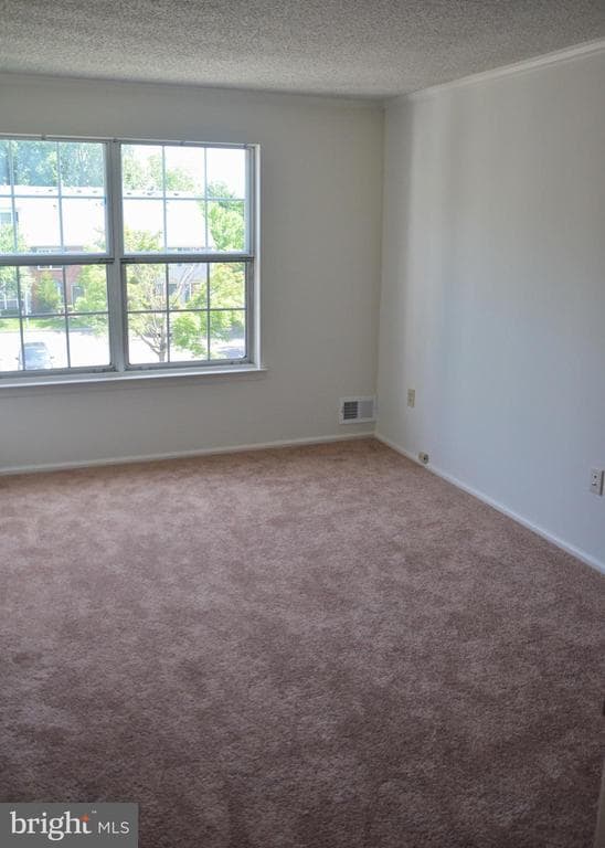 Photo - 74 Lehavre Ct