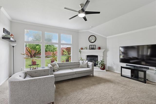Photo - 10237 Red Bluff Ln