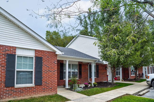 Photo - Paint Landing