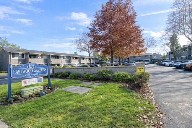 Photo - Eastwood Gardens