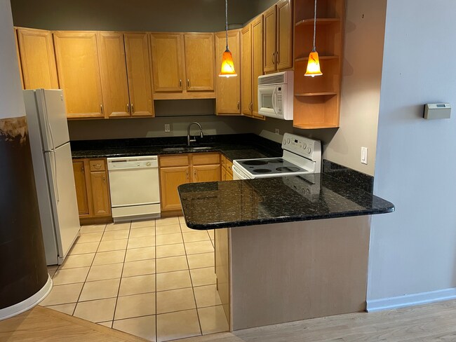 Photo - 801 S Wells St Unit 507