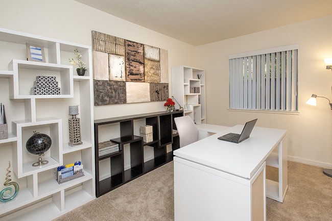 Camden Parc - Camden Parc