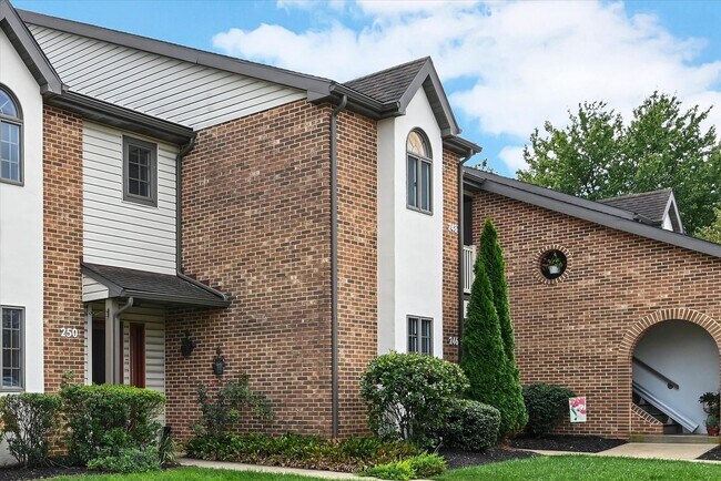 246 Black Oak Dr