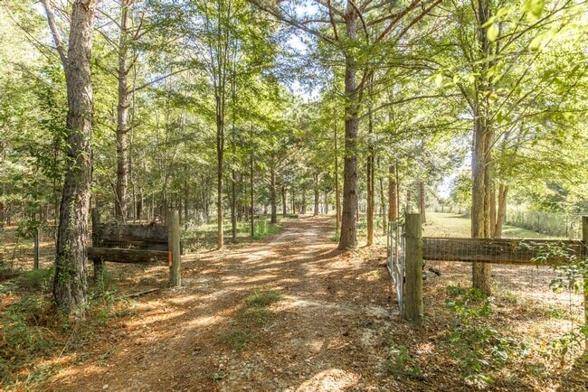 Photo - 5451 Walton Rd