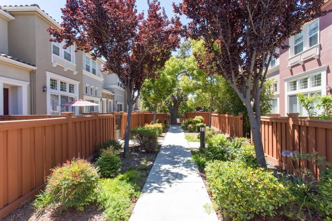 Photo - 308 Vista Roma Way