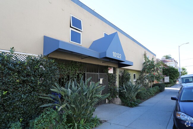 10122 Palms