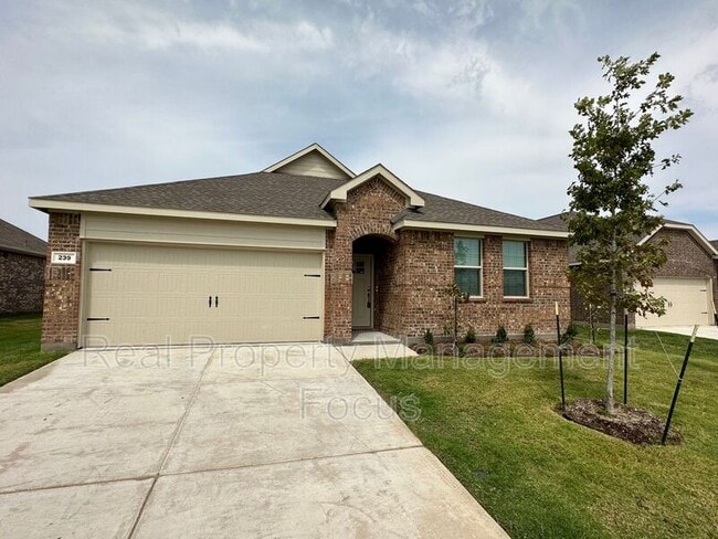 Building Photo - 239 Jenkinson Dr