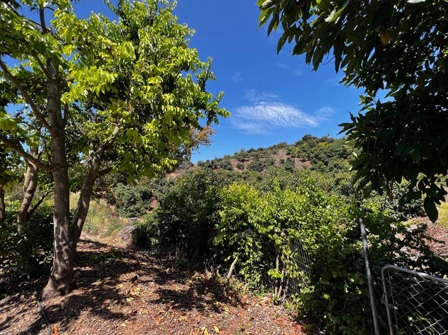 Photo - Hidden Gem at the End of the Cul-de-Sac!