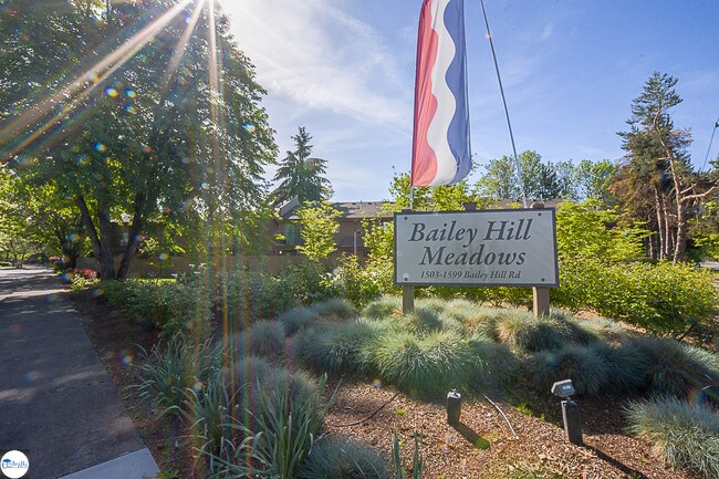 Photo - Bailey Hill Meadows