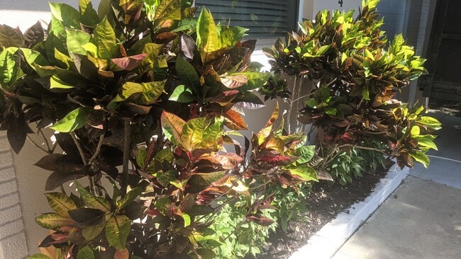 Photo - 2042 Harley Ave