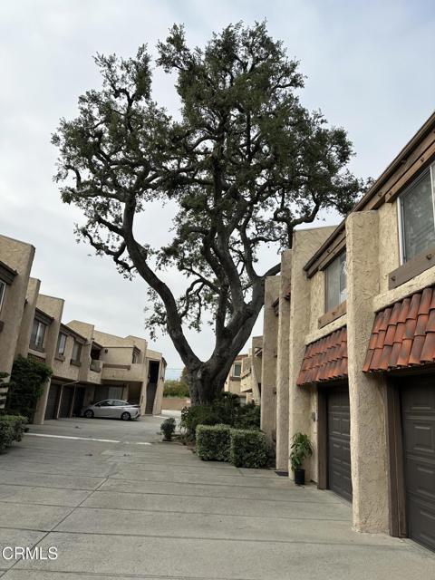 Building Photo - 327 E Live Oak St Rental