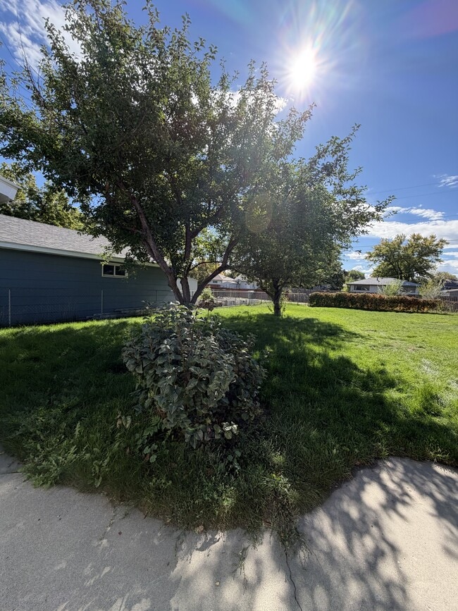Photo - 2520 Lillis Ln