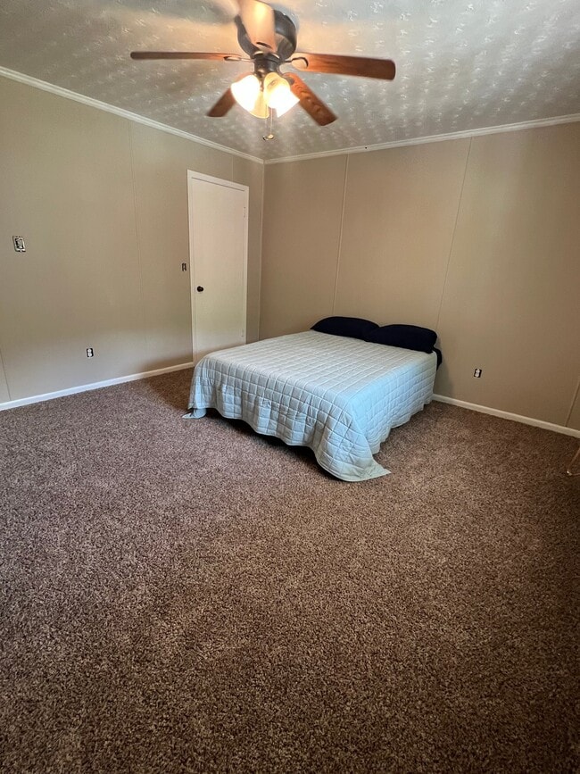 Photo - 415 Willow St