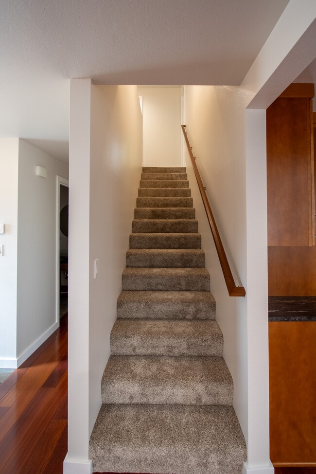 New carpet on stairs