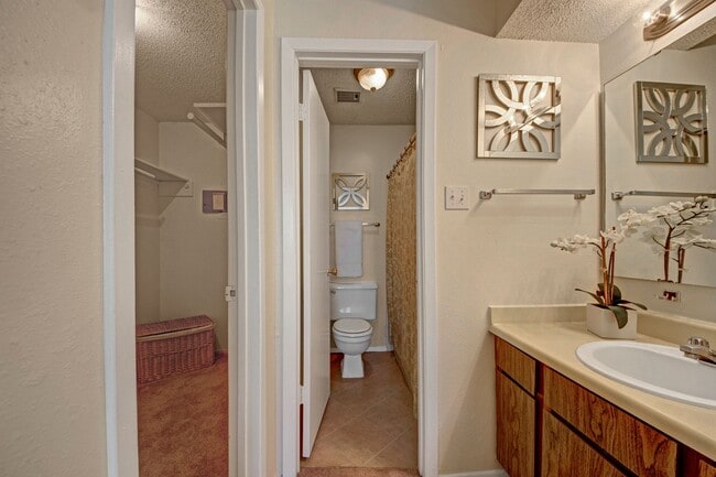 A bathroom next to a walk in closet for the master bedroom - Cypress Pointe