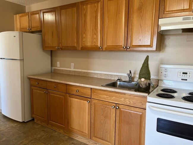 Photo - 1 Bed 1 Bath Unit in Red Deer, AB Unit 307