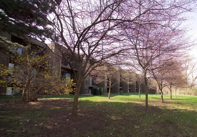 Campus View Apartments