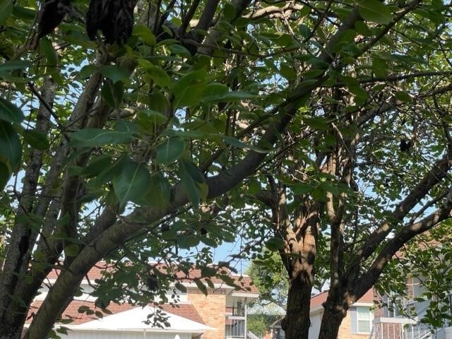 Photo - 2350 Bering Dr Unit 111