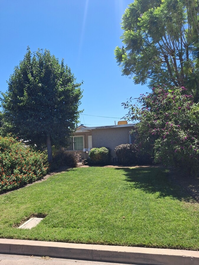 Photo - 650 Holly Ave