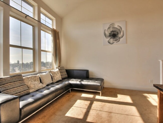6115 Old Quarry Loop
