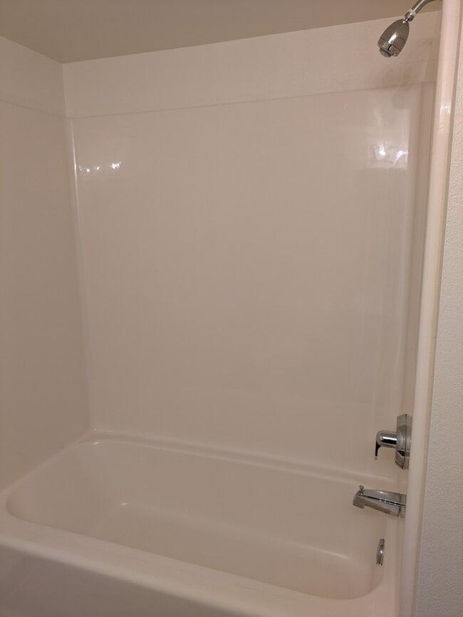 Master Bathroom Tub/Shower