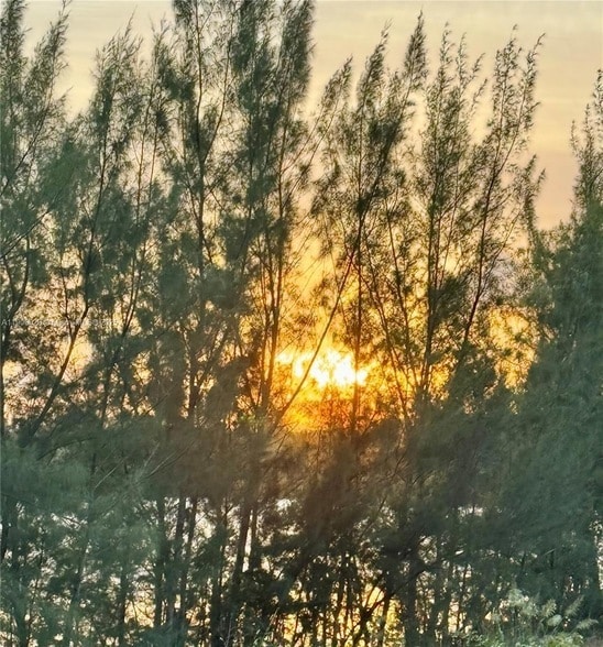 Photo - 8650 NW 97th Ave Unidad 204