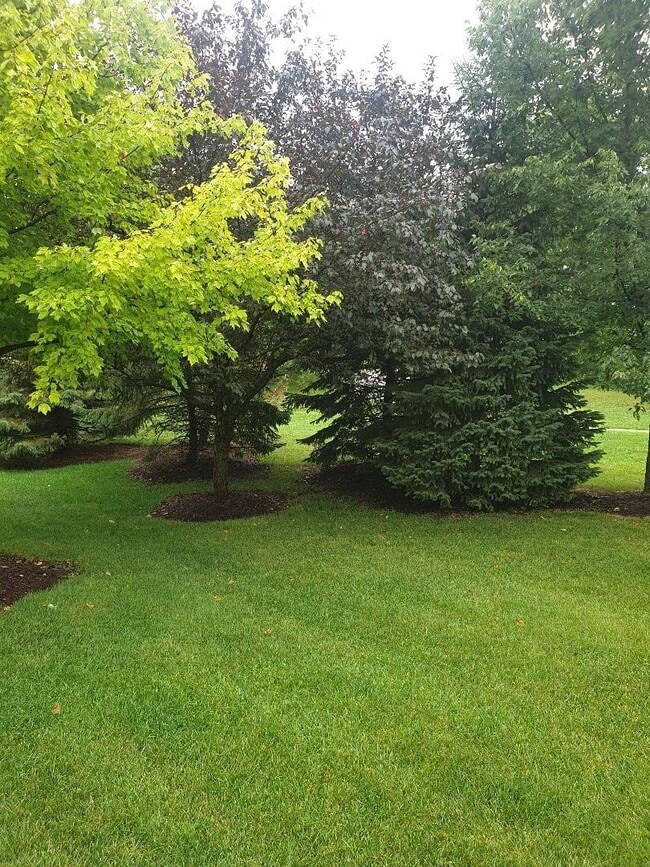 Photo - 28121 Sonoma Pass