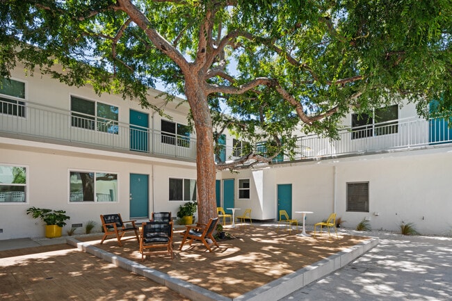 Courtyard with Grand Elm Tree