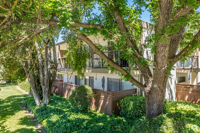 Building Exterior - Viking Apartments