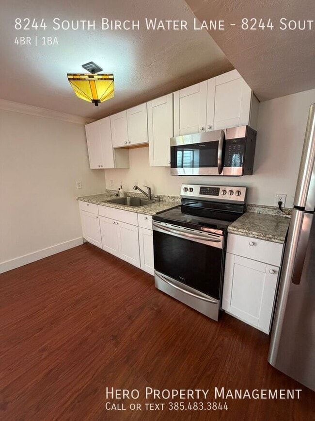 Photo - 8244 Birch Water Ln Unit 8244 South Birch Water Lane (Basement)