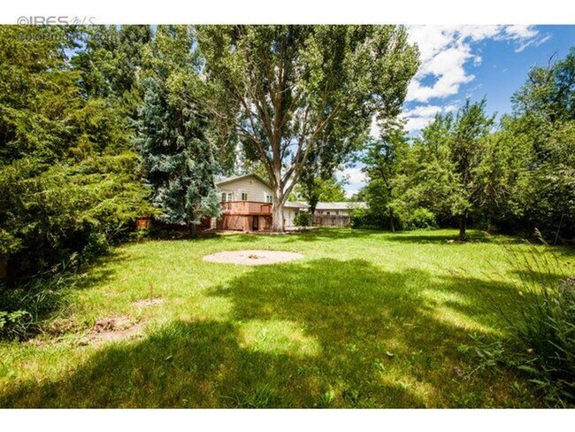 Building Photo - Massive Yard & Quiet Neighborhood