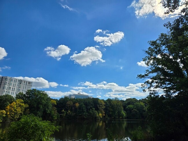 Photo - 44 Washington St Unit 616