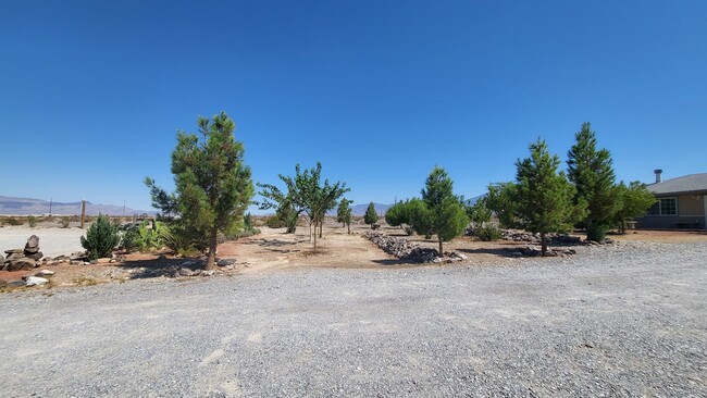 Photo - 831 David Adam Rd