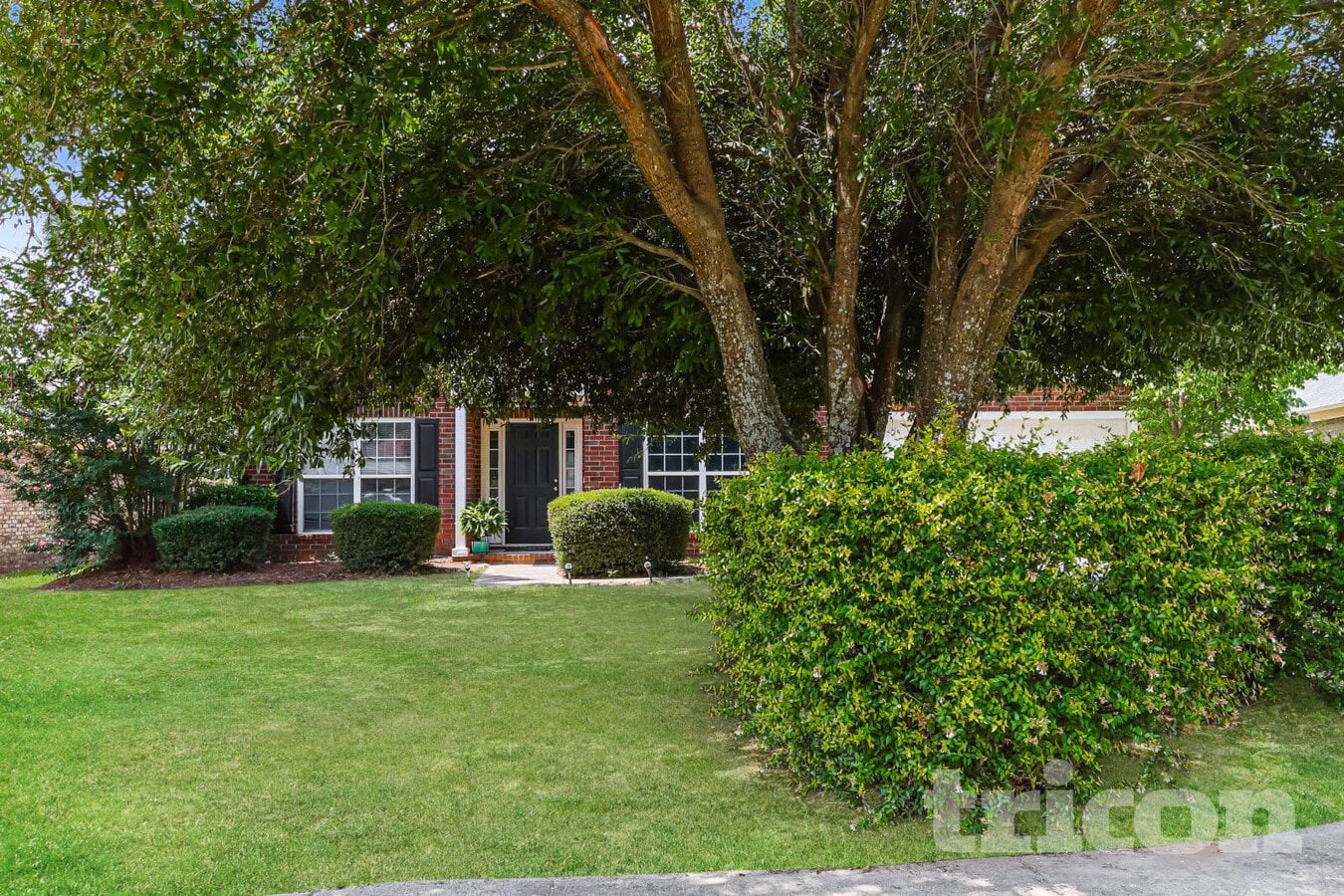 Photo - 509 Butler Springs Ct