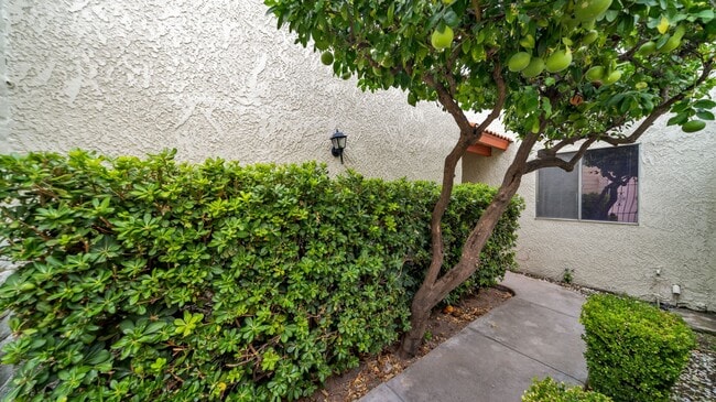 Photo - East Side Remodeled 2 Bdrm Townhome Unit Crescent 806