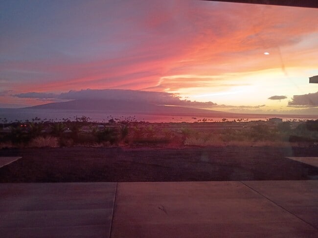 Photo - 257 Hokiokio Pl