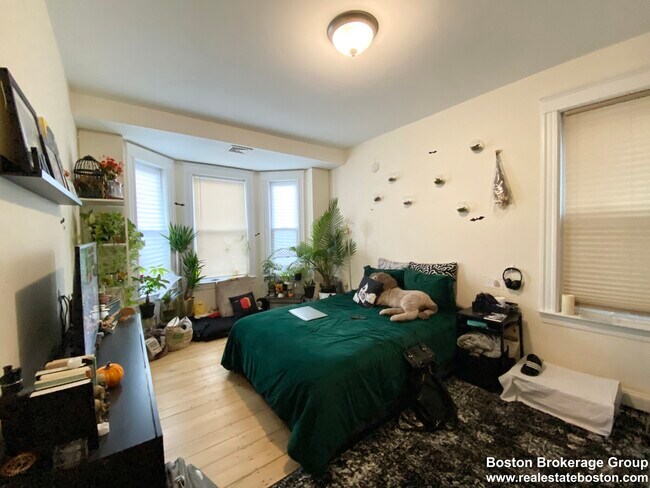 Photo - 37 Hillside St