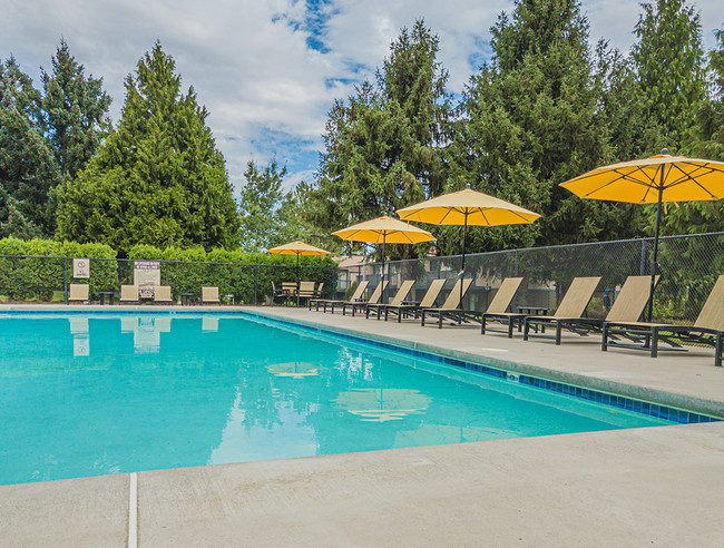 Pool - Cedarwood Apartments