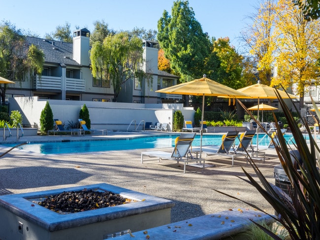Pool and Firepit